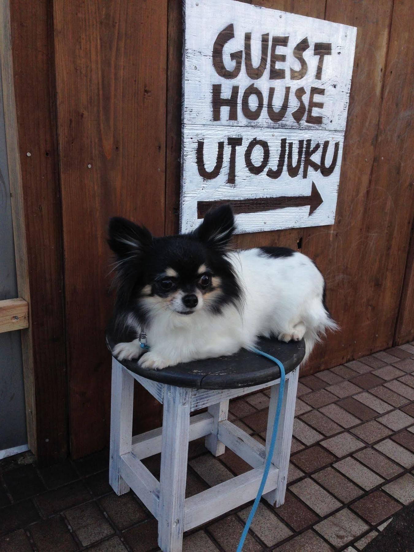 Goto Guest House Utojuku Exterior foto